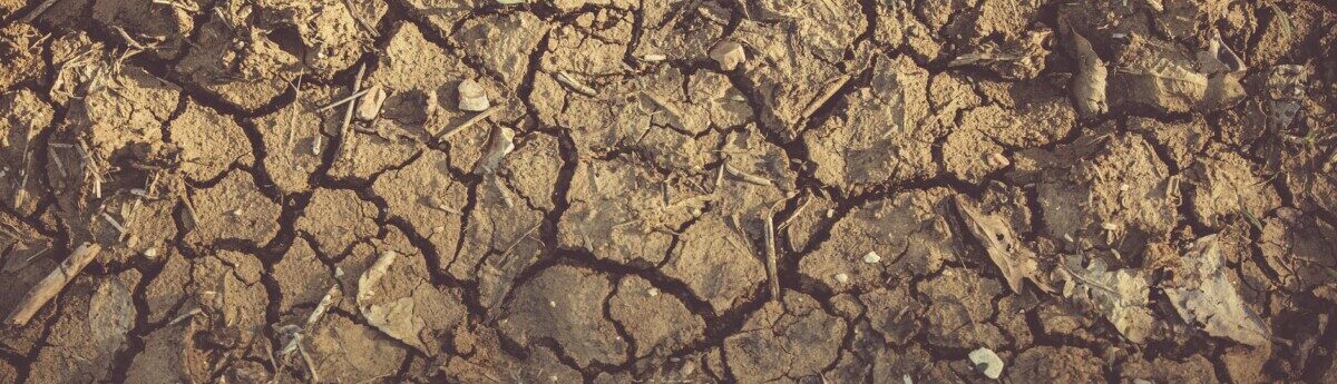 Příběhy sucha: lokální souvislosti extrémních klimatických jevů, jejich percepce a participace lokálních aktérů